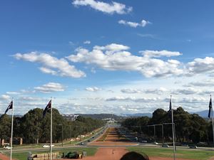 IMG 9487