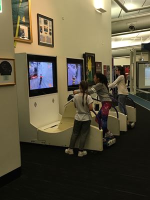 IMG 9529