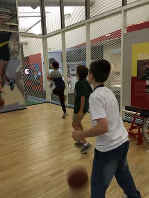 IMG 9536