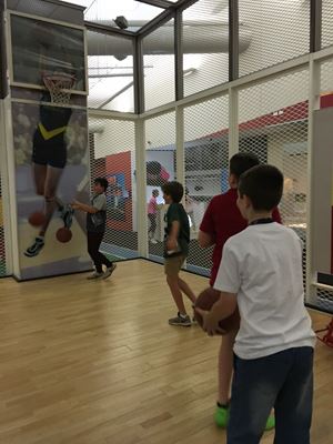 IMG 9537
