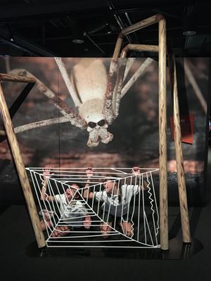 IMG 9648