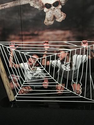 IMG 9650