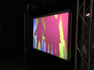 IMG 9655