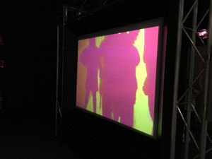 IMG 9656