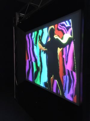 IMG 9661