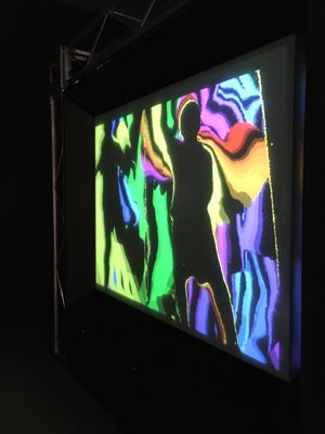 IMG 9662