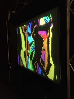 IMG 9665