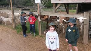 Kinder Farm 2