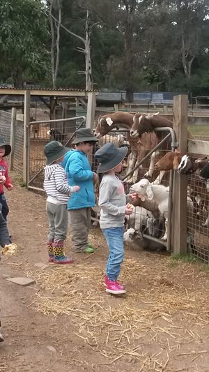 Kinder Farm 3