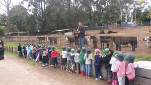 Kinder Farm 4