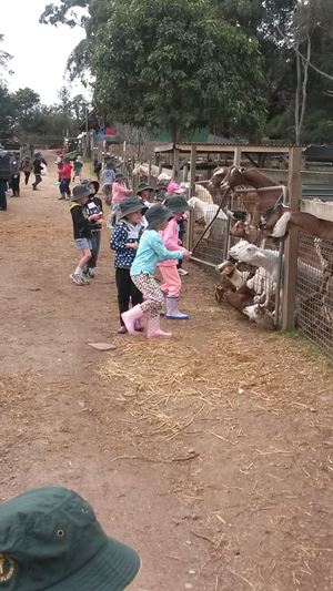 Kinder Farm 5