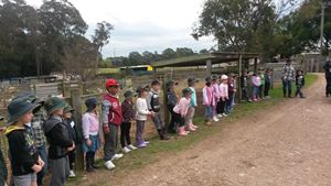 Kinder Farm 6