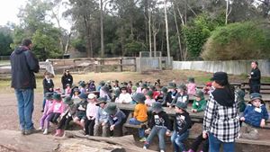 Kinder Farm 7