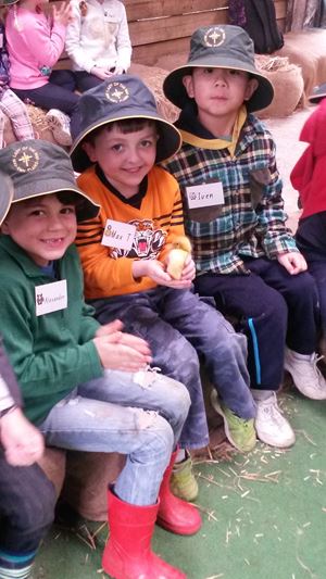 Kinder Farm Chicks 3