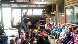 Kinder Farm Just about to milk a cow