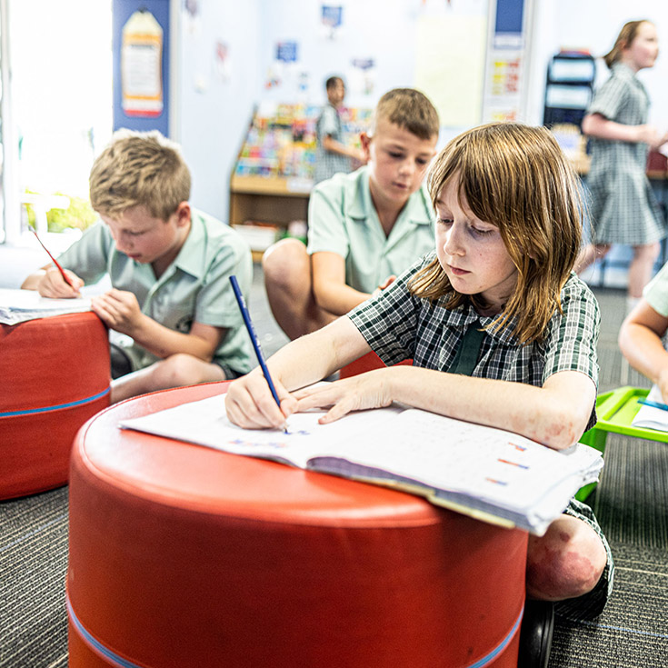 Students learning at Our Lady of the Way Catholic Primary Emu Plains