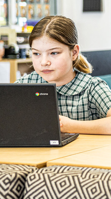 Students learning at Our Lady of the Way Catholic Primary Emu Plains