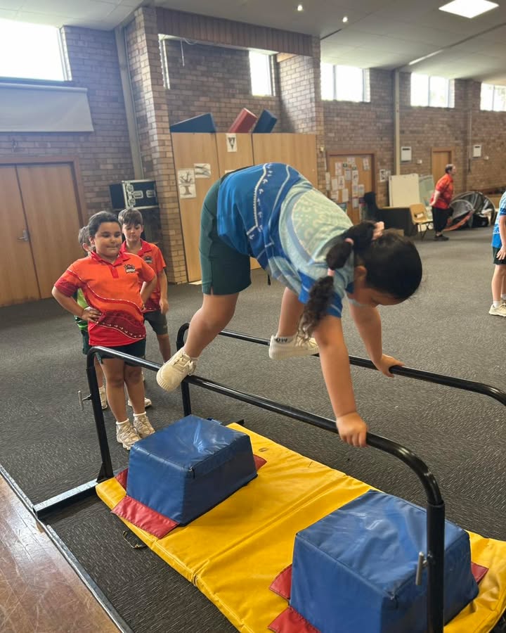 729702302496553_1390651163068327-1