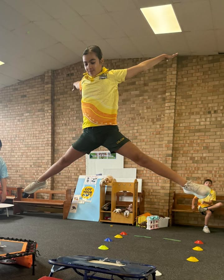 729702302496553_1397435062389937-1