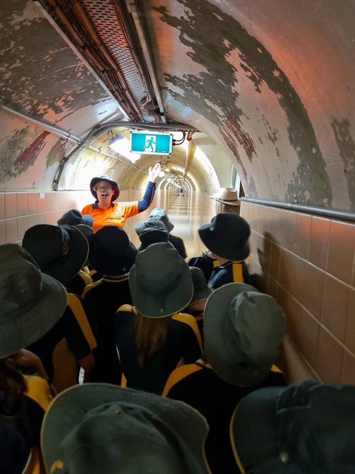 729702302496553_1423685033098273-1