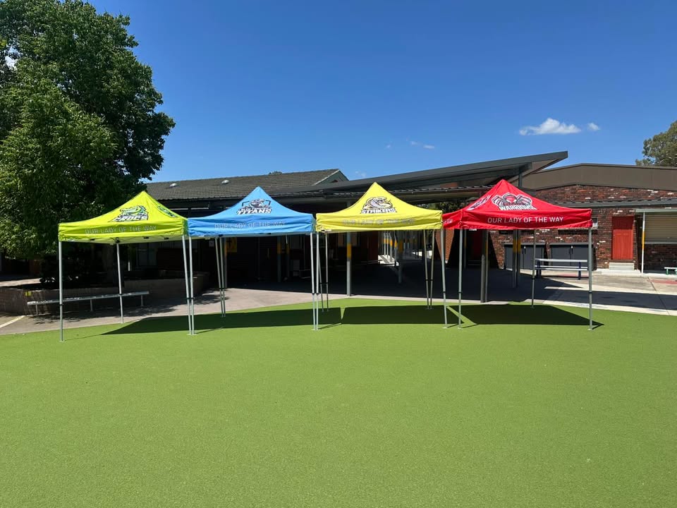 729702302496553_1436211061845670-1