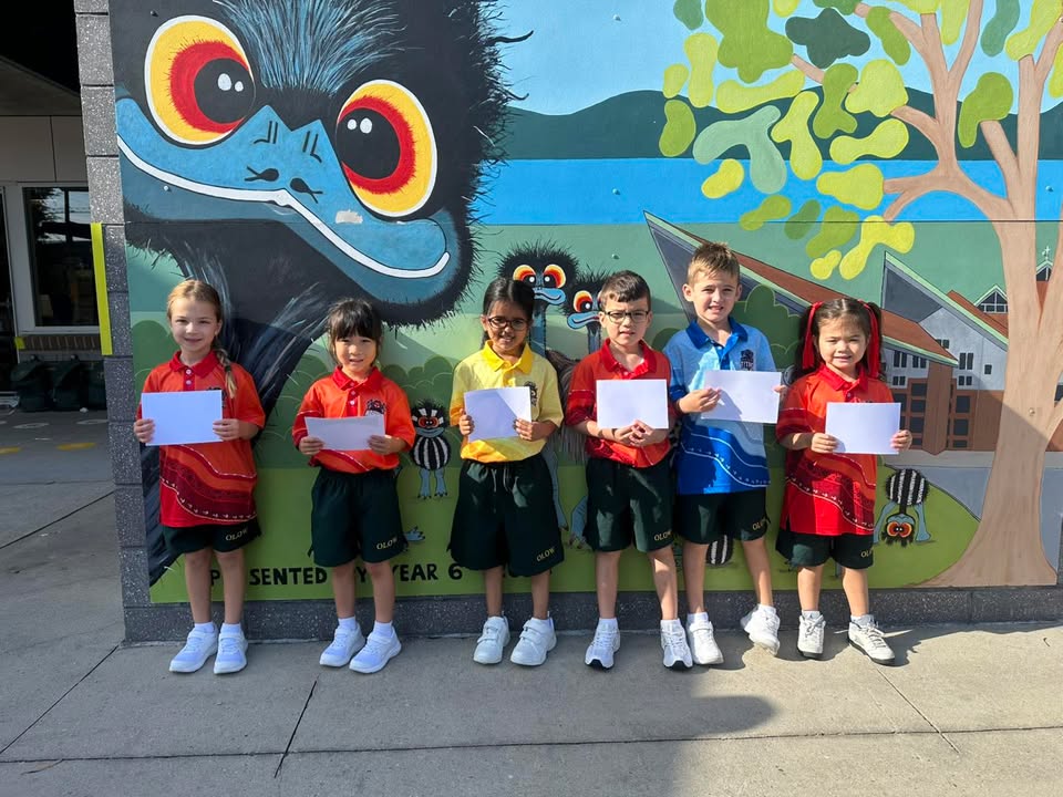 729702302496553_1480535634079879-1