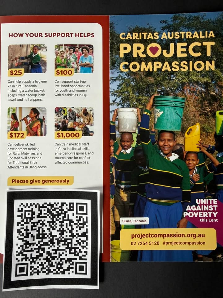 729702302496553_1503434155123360-1