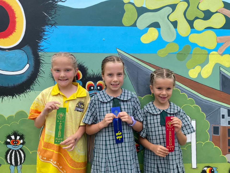 729702302496553_1508356807964428-1