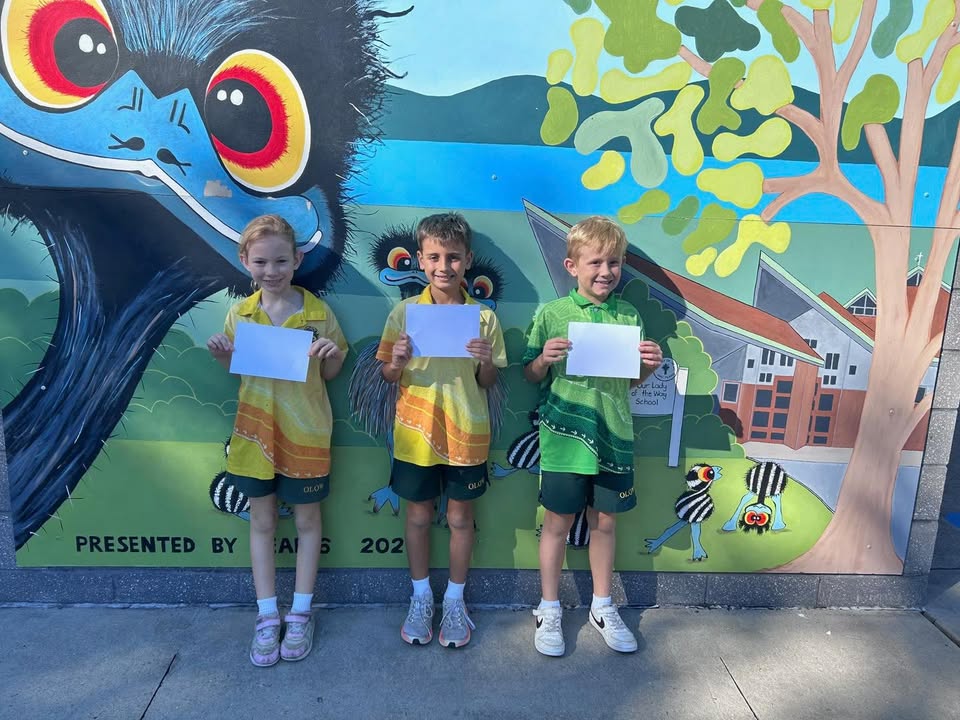 729702302496553_1517867450346697-1