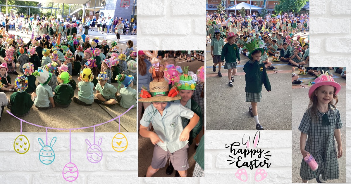 729702302496553_1528512039282238-1