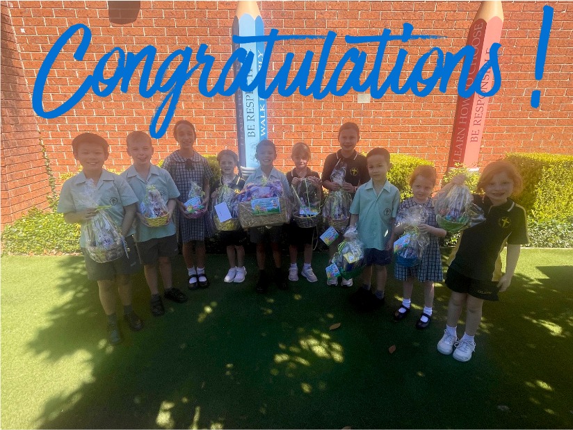 729702302496553_1529456242521151-1